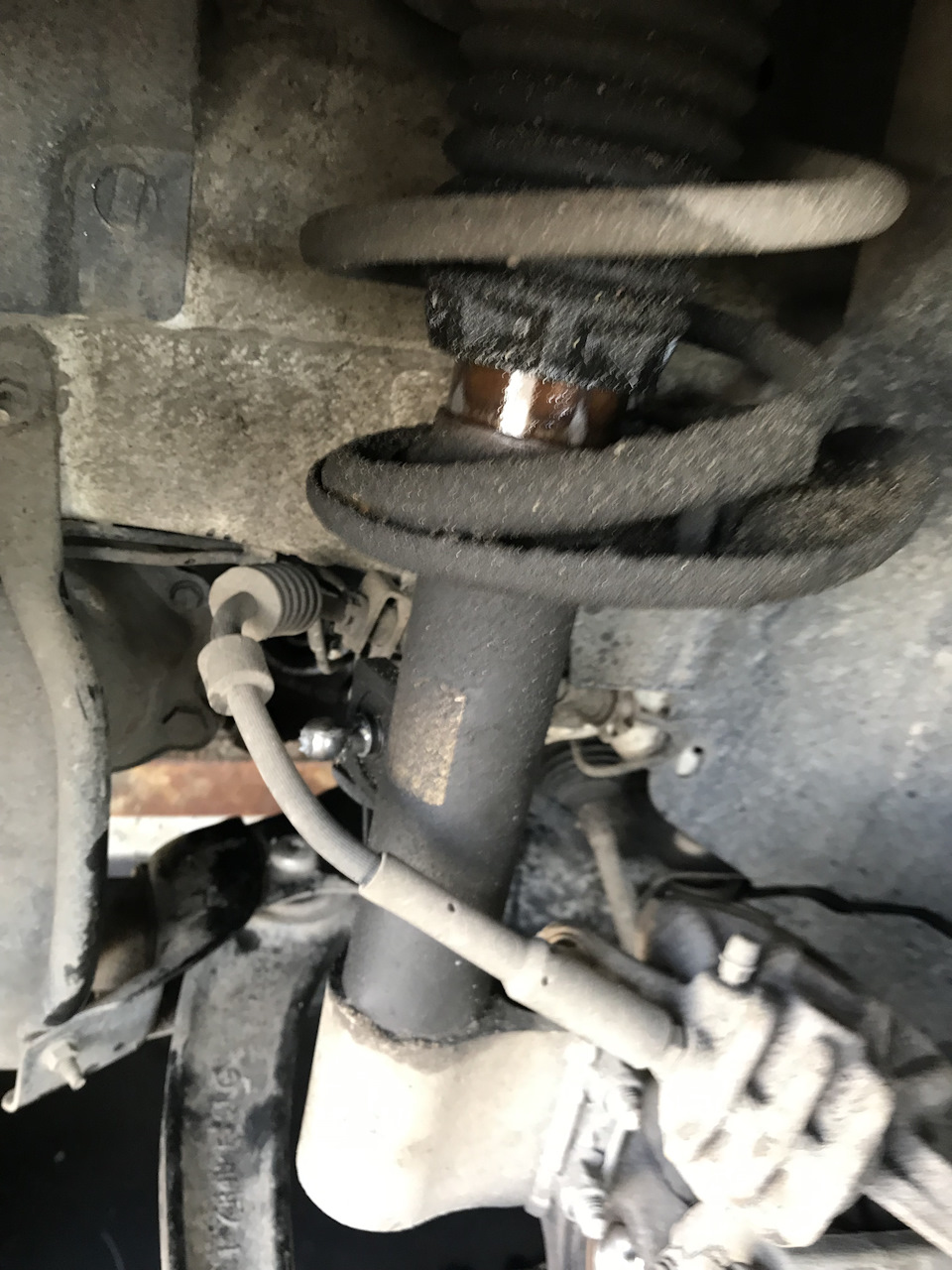 Які передні амортизатори вибрати для Citroen C4 B7 1.6 HDi 90? 1