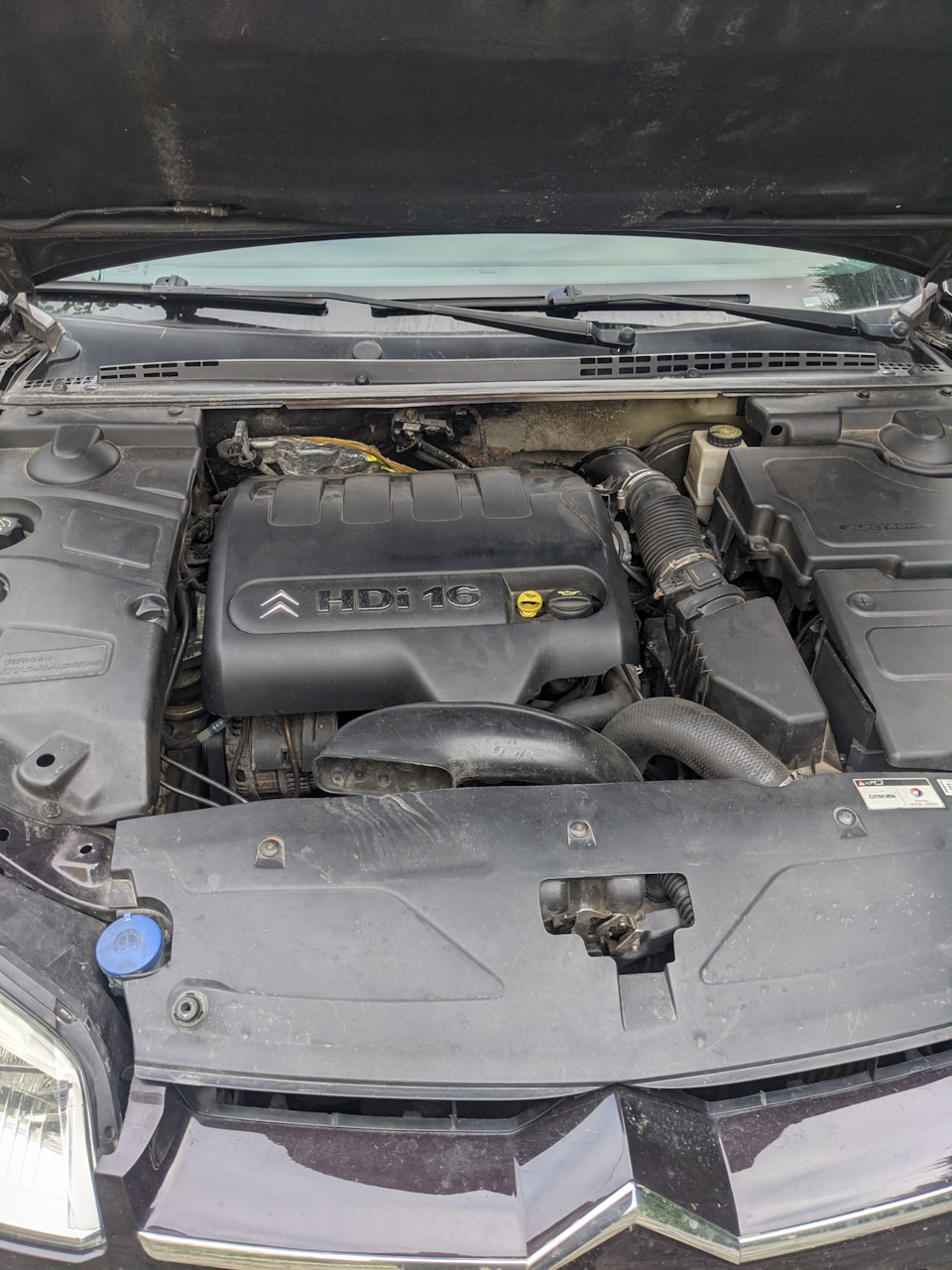 заміна свічок розжарювання Citroen C5 2007 2.0HDi 1