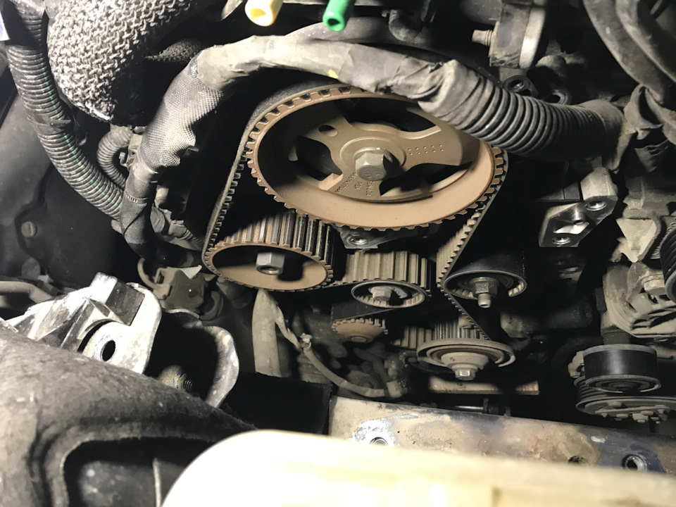Заміна ГРМ, помпи та антифризу Citroen C5 1.6 HDI 5