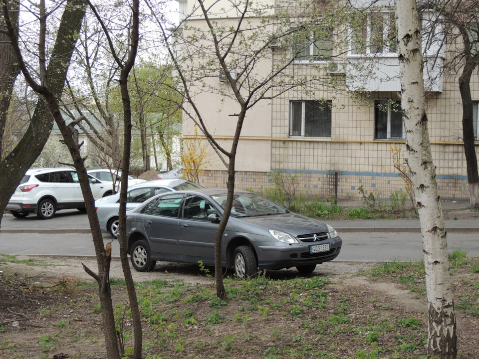 З'їздила на діагностику
