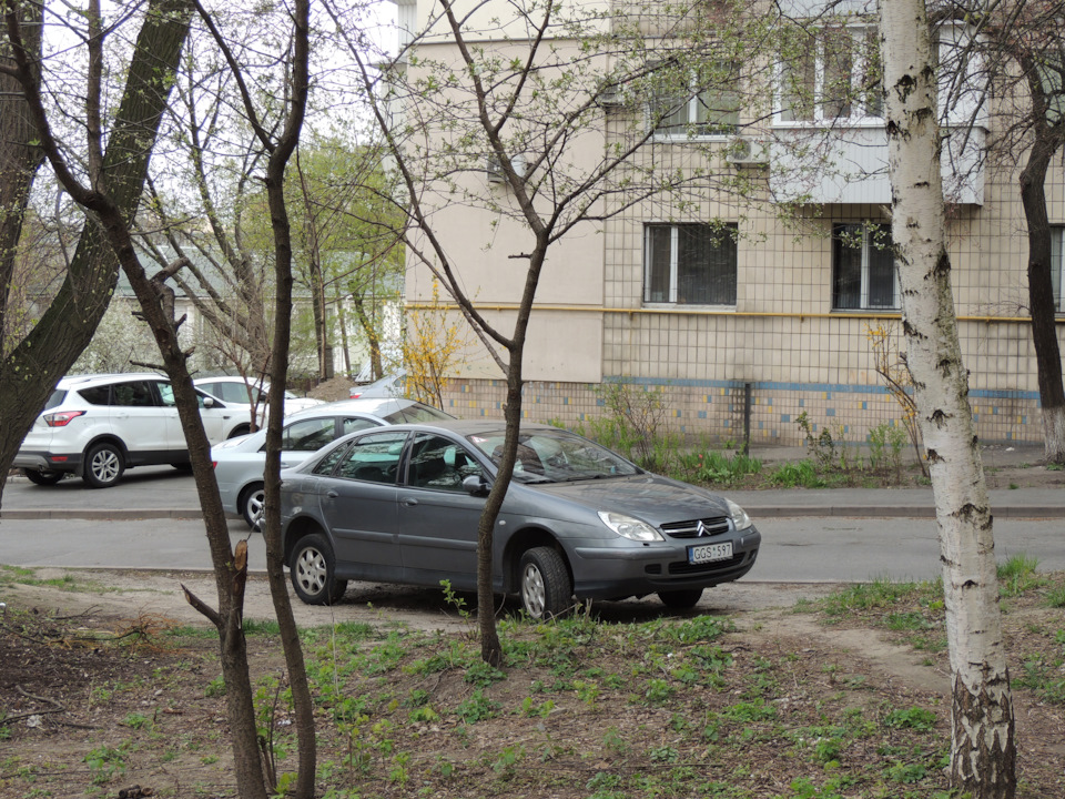З'їздила на діагностику 1