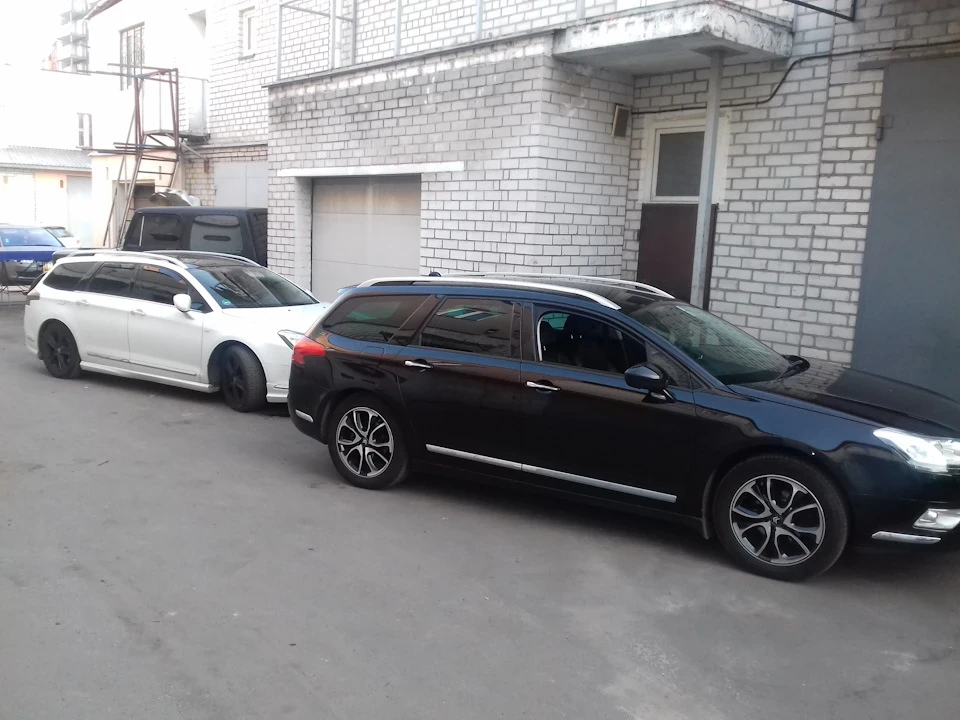 доливка Еоліса