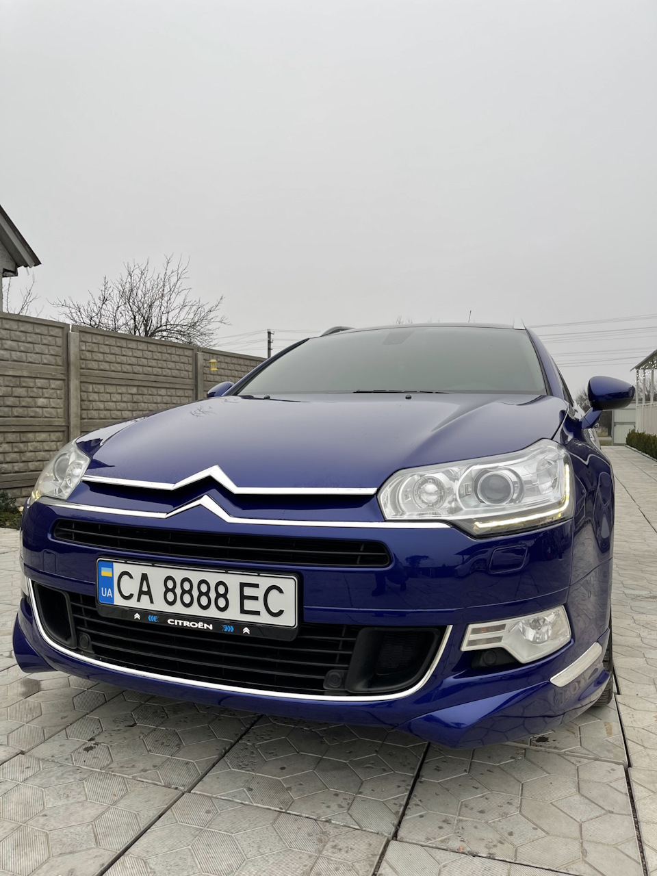 Carlsson продається) 4