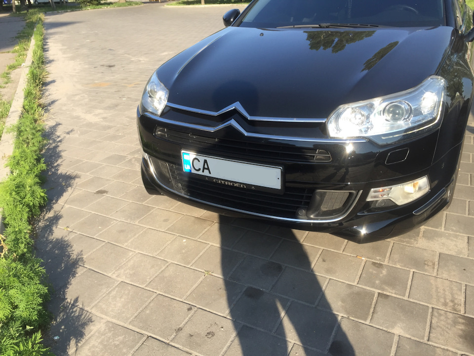 І знову фарбуємо ... 3