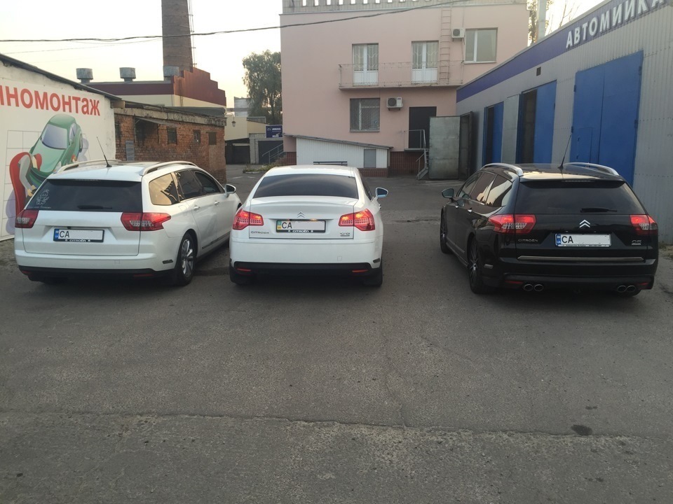 Ревізія! 5