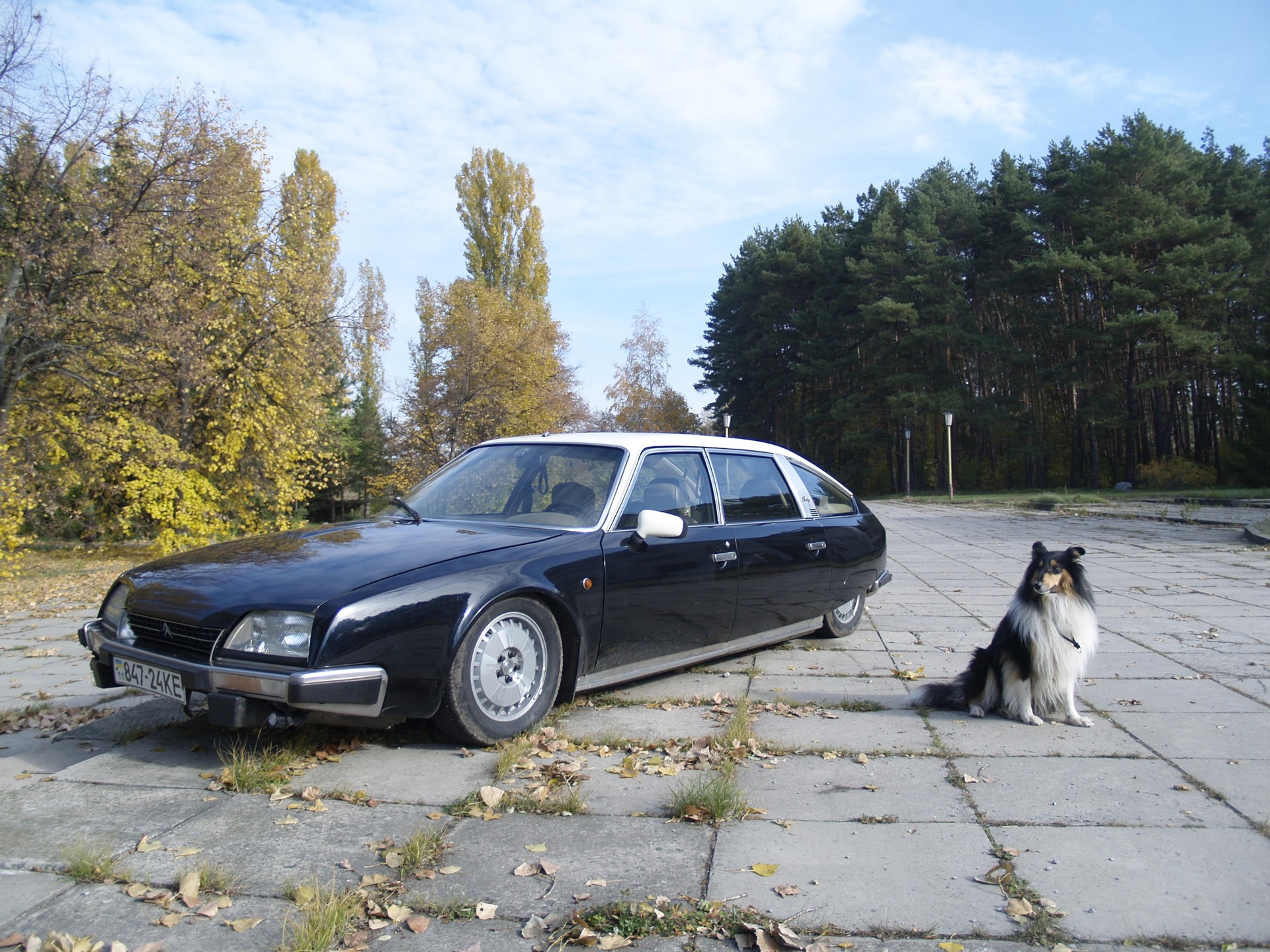 Фотосесія Golden Autumn 1