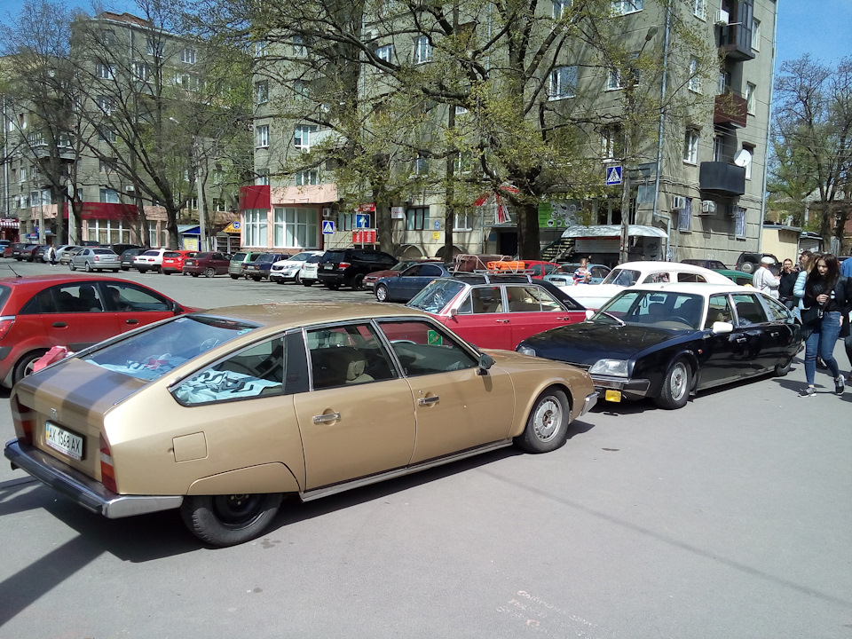 Ну ось і крокодил відкрив сезон :) 3