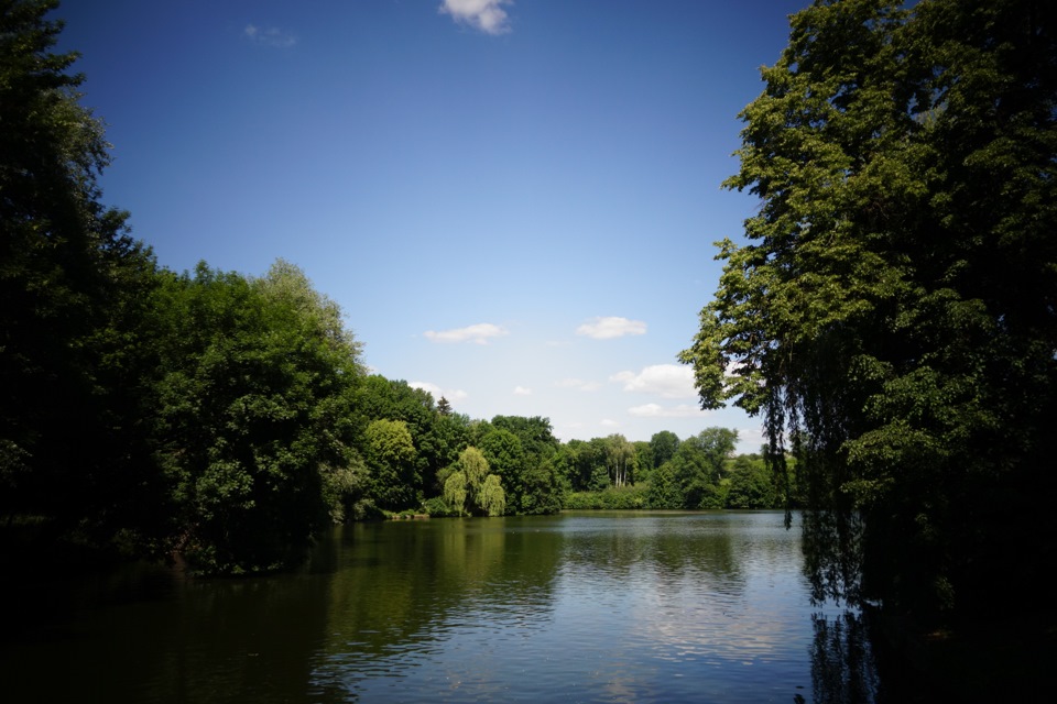 Дорога до великих дерев 1