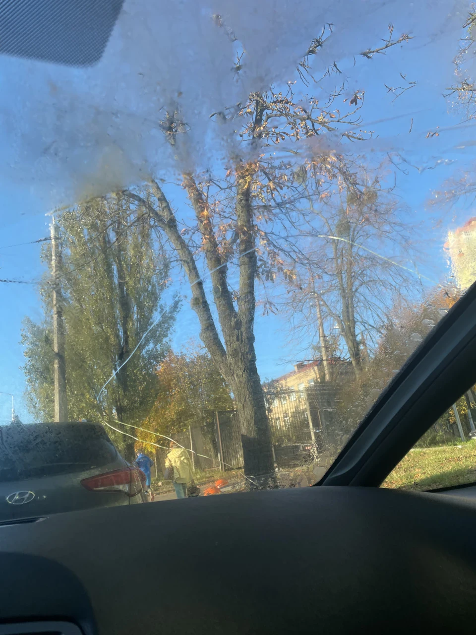 Заміна лобового та двірників