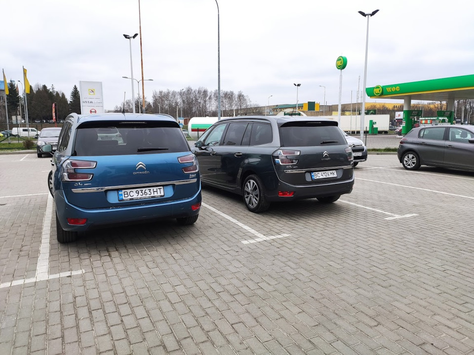 У пікассо з'явився брат-близнюк :) 3