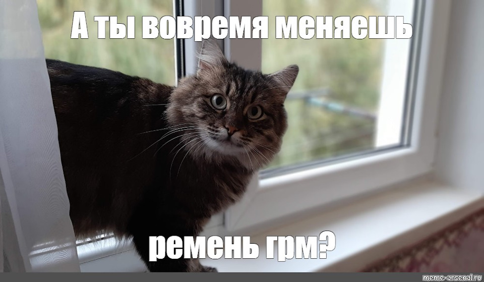 Заміна ременя ГРМ, роликів та помпи. 1