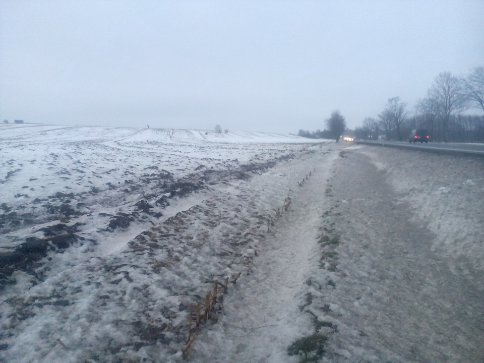 здуло вітром ... 2