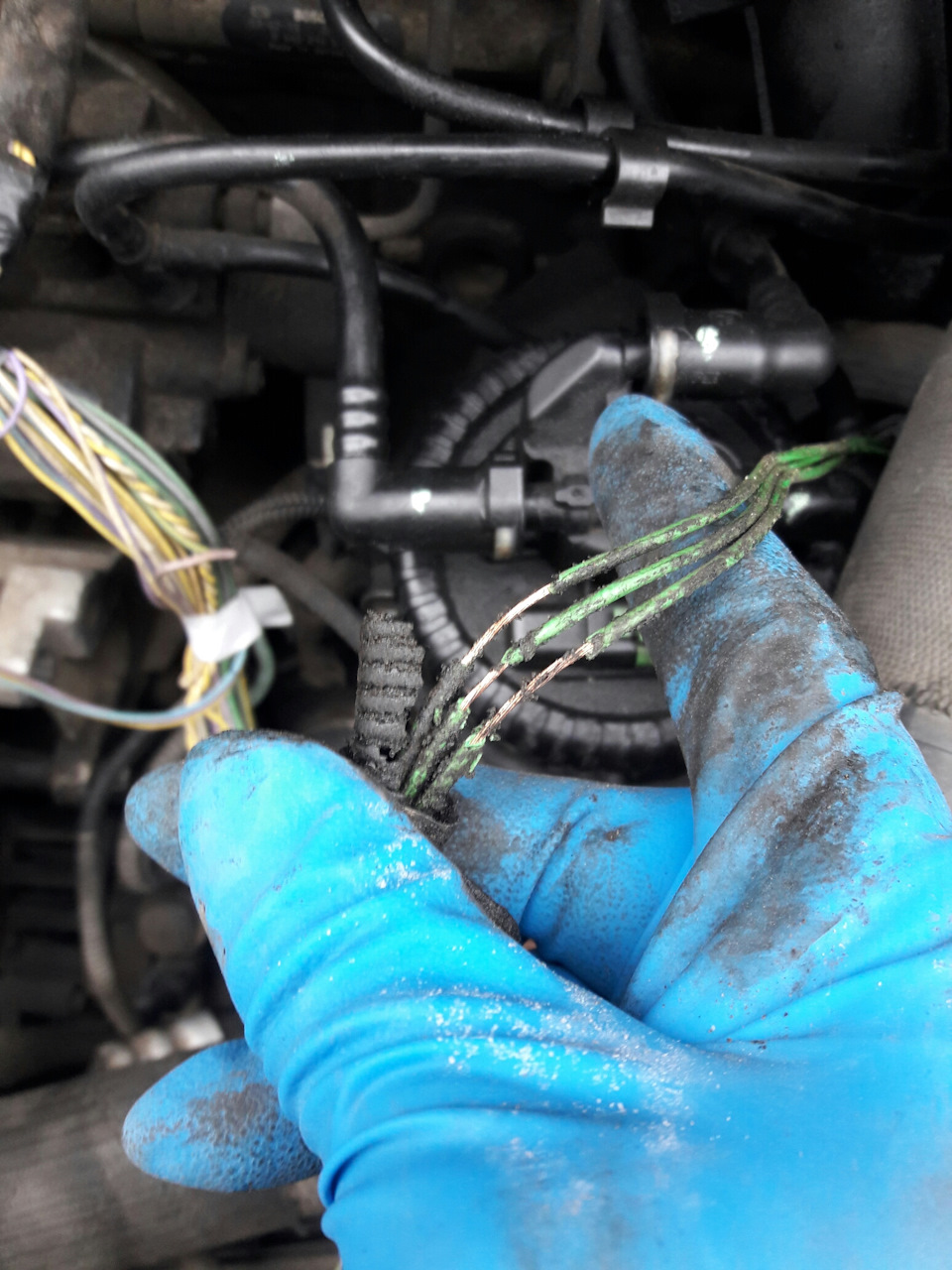 Check Engine… сцуко… 5