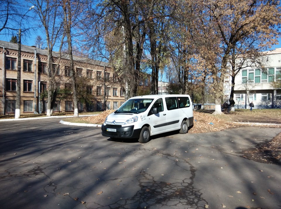 Трохи фото 5