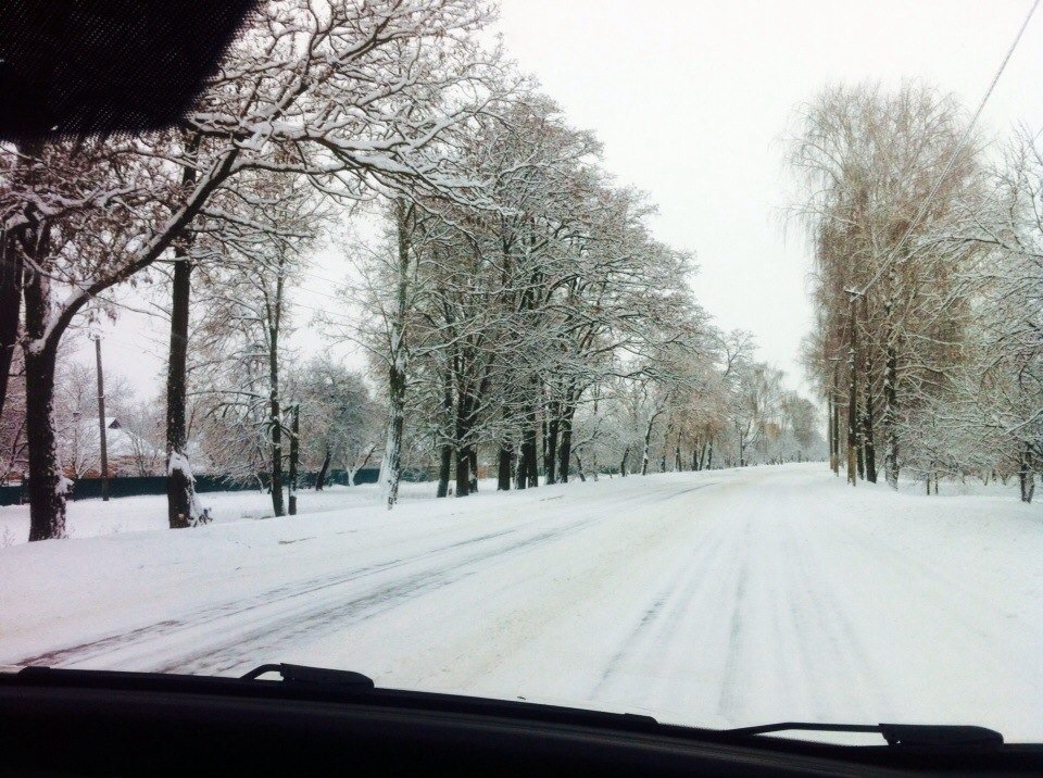 Сніжок 4