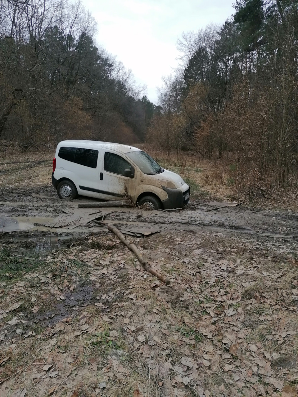 Завіс 4