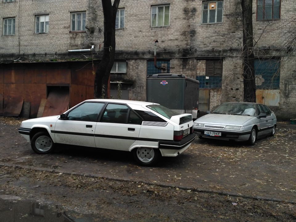 II - Вже зима, а хом'як все хворіє (продовження) 2