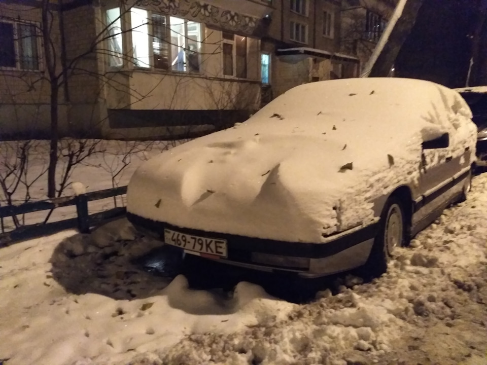 Вже зима, а хом'як все хворіє. 4