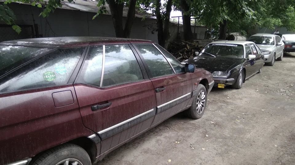 Зустріч сім'ї