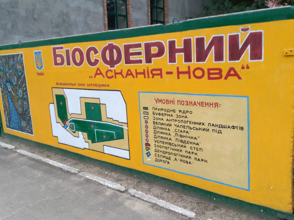 Асканія Нова 5