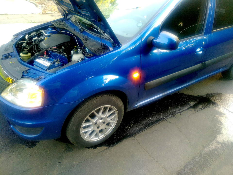 Потекла сучка 😁 3