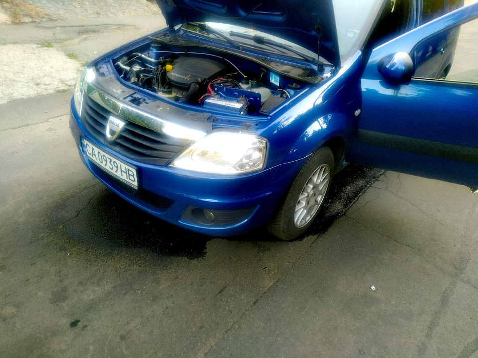 Потекла сучка 😁 2