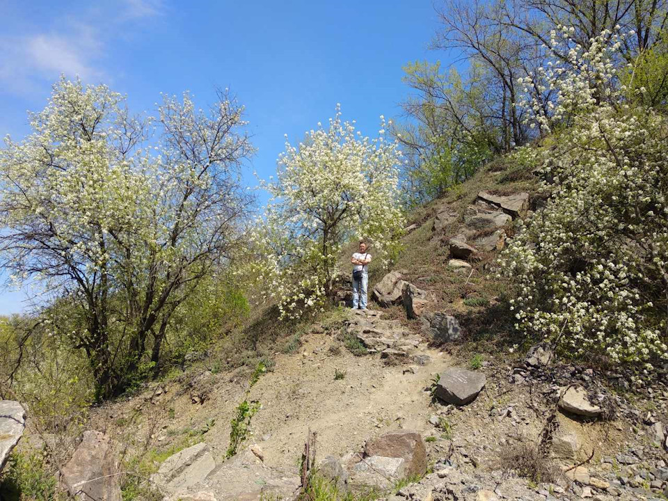 Подорож у гори 4