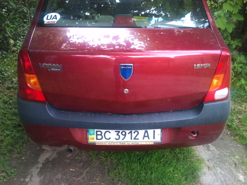 Фото на природі 5
