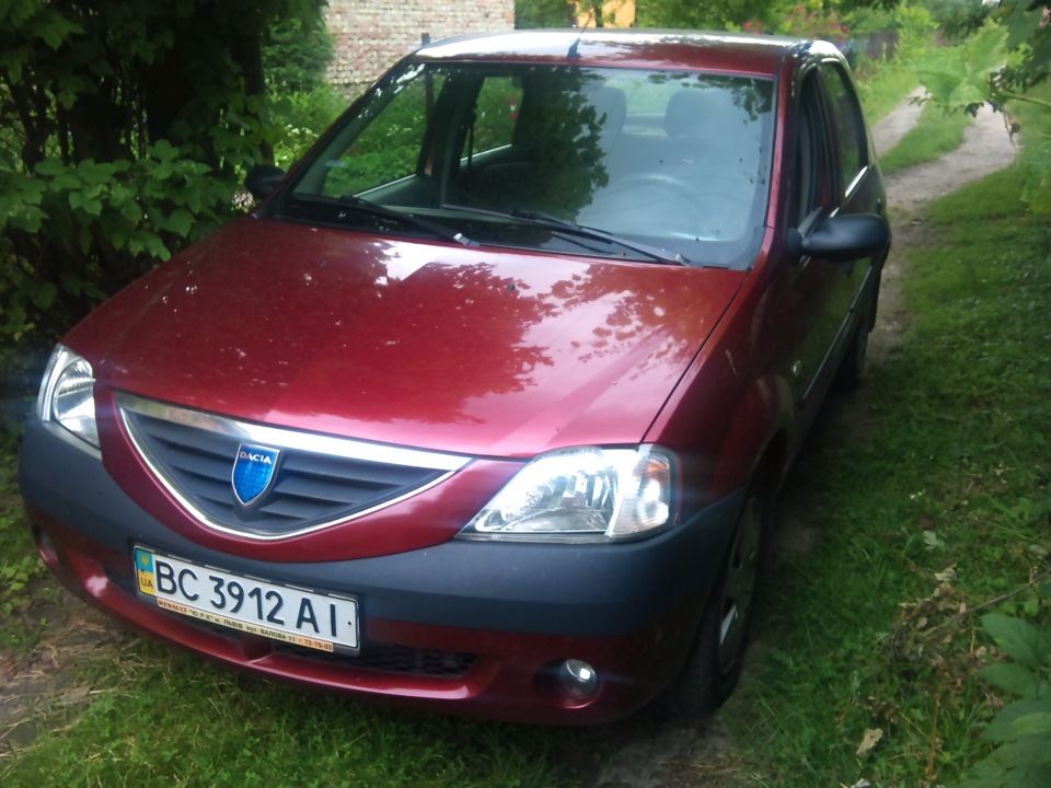Фото на природі 2