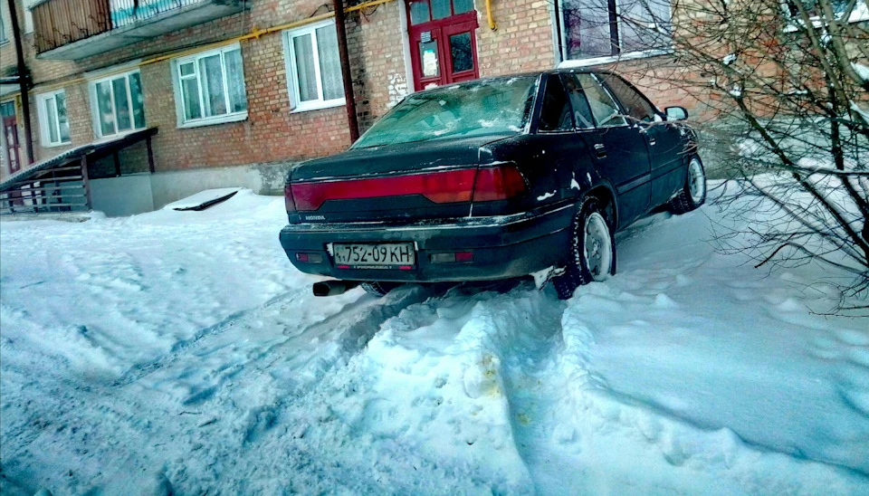Зимівка зима,