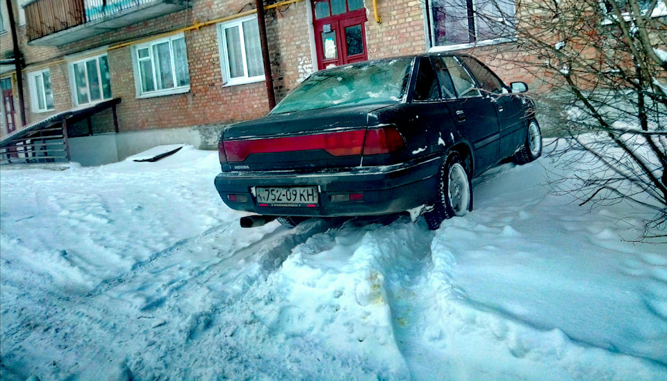 Зимівка зима, 1