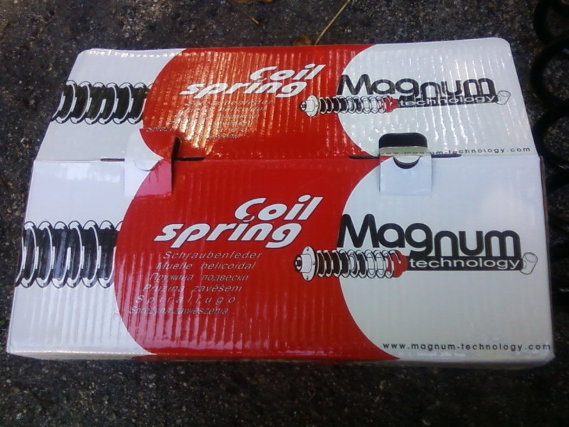 Coil spring Magnum 1
