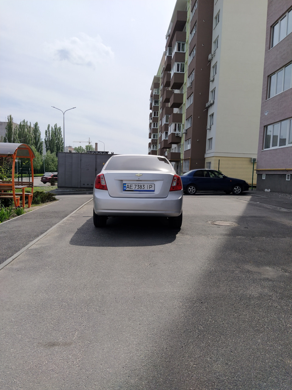 Віддам свою красуню в добрі дбайливі руки! 4