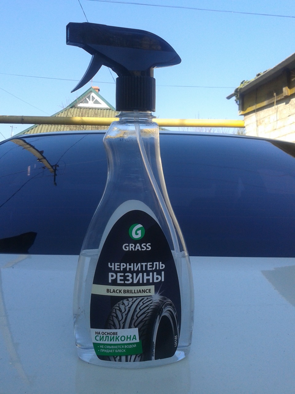 Чорник гуми 1