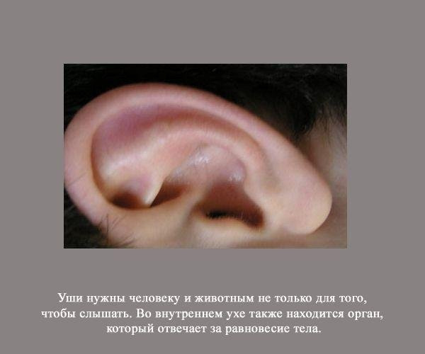 Хм... 1