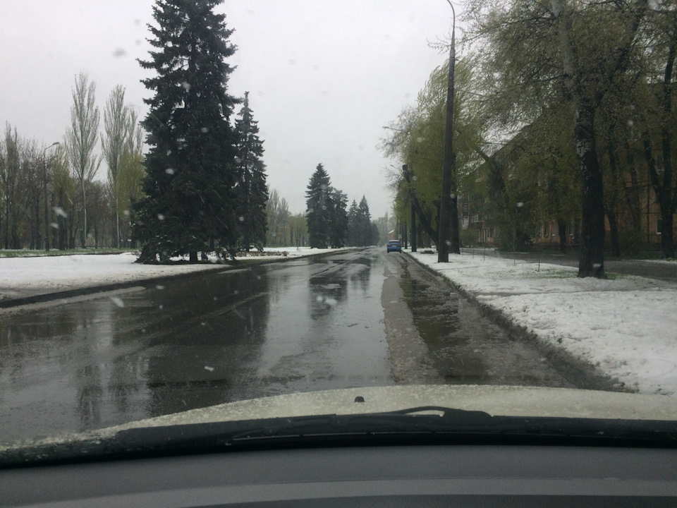 Зиму перезимували, тепер перезимуємо і весну... 4