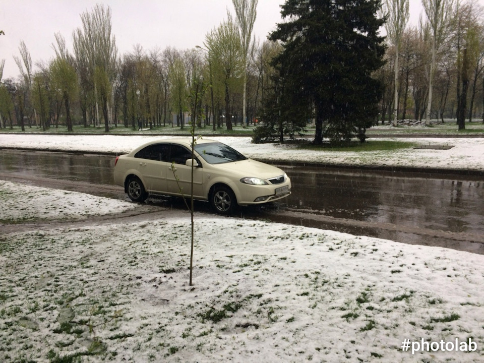 Зиму перезимували, тепер перезимуємо і весну... 2