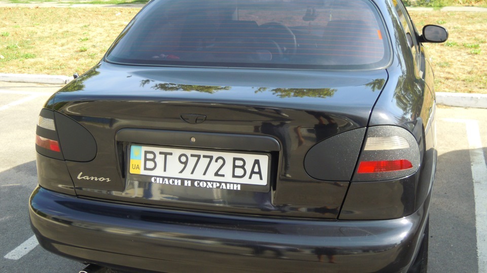 Історія виду ззаду від і до ... 4