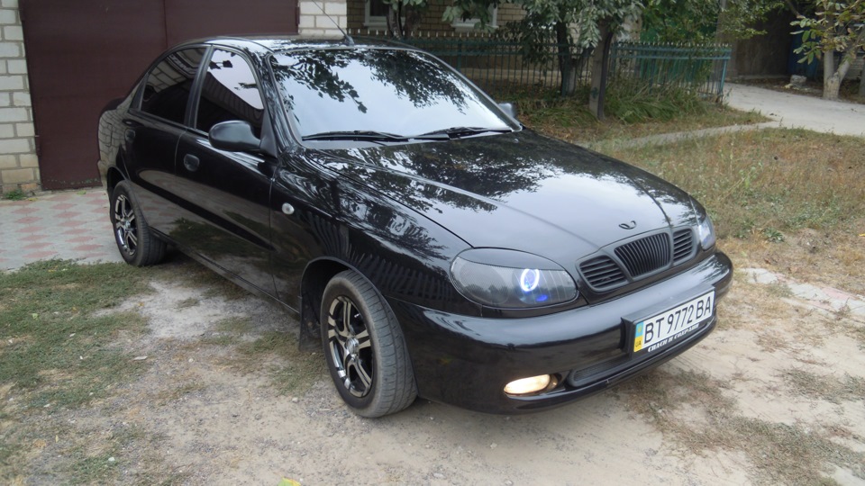 Підкрильники 3