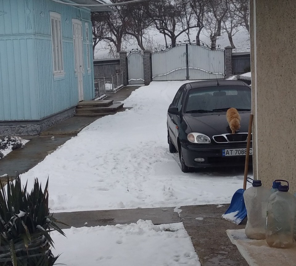 Перевірку пройшов ...))) 5