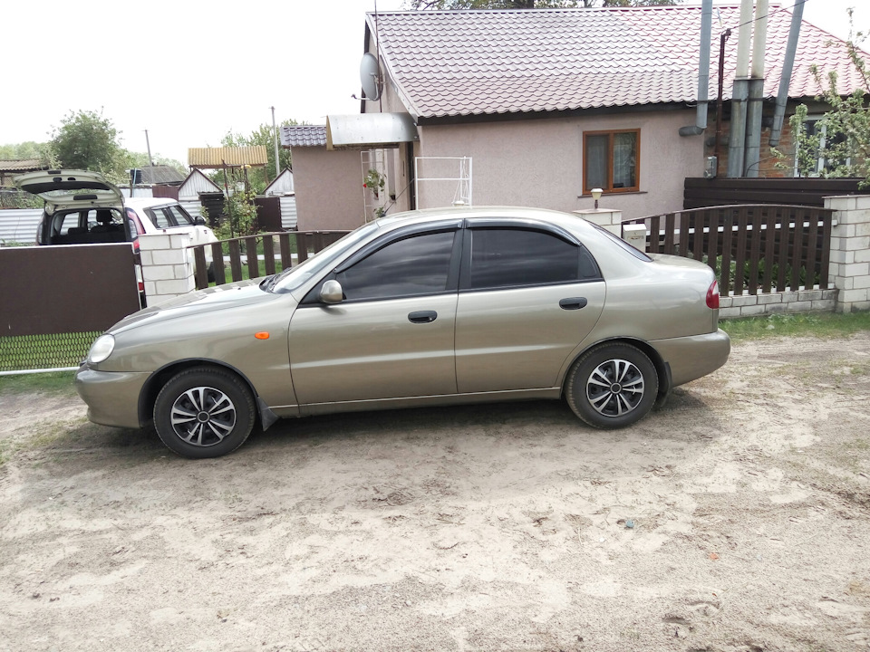 Тонування Американка 10% + вітровки після перефарбування 5
