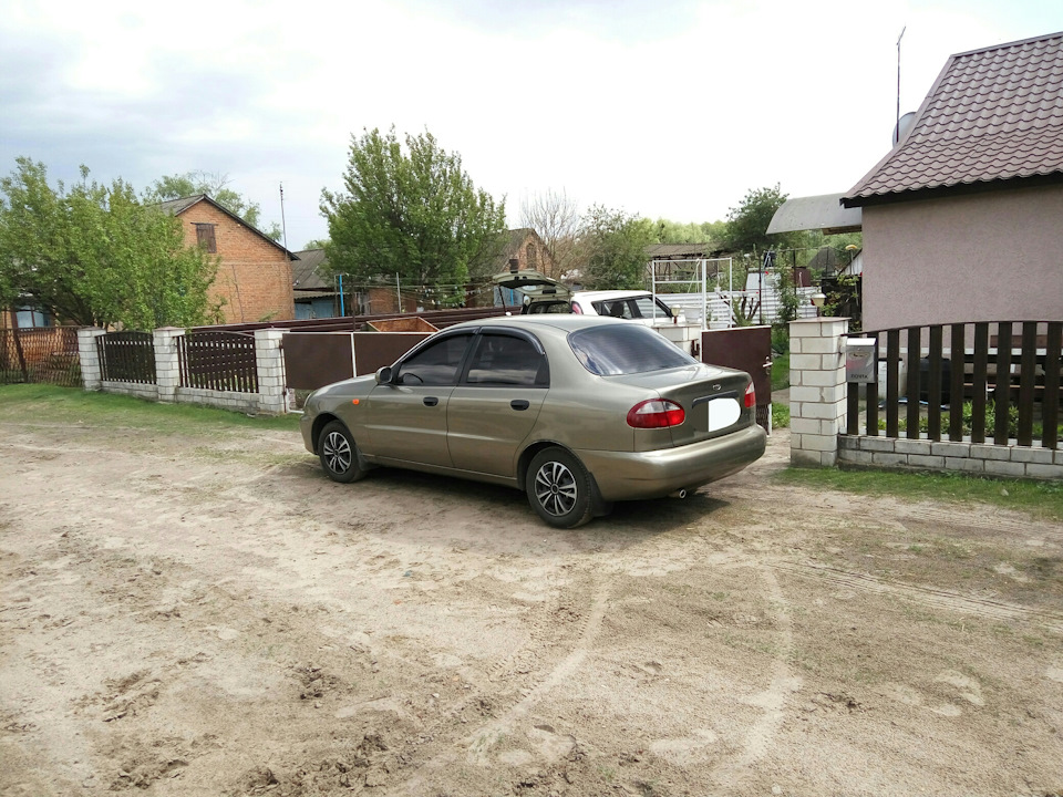 Тонування Американка 10% + вітровки після перефарбування 4