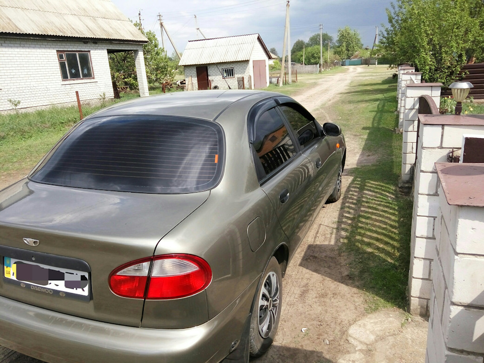 Тонування Американка 10% + вітровки після перефарбування 2
