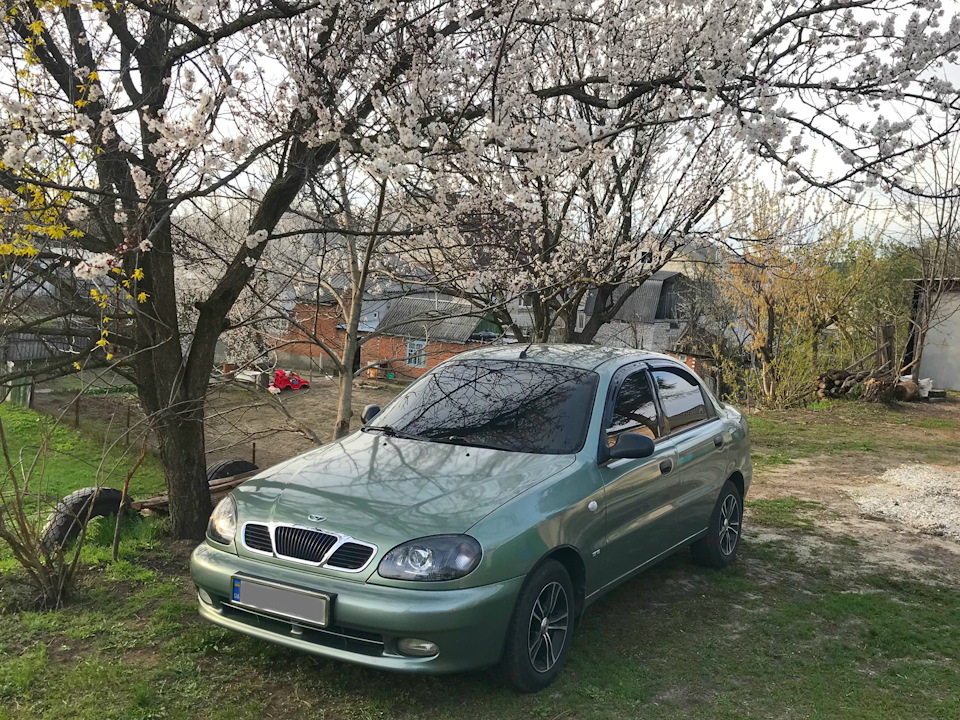 Прийшла весна. 1
