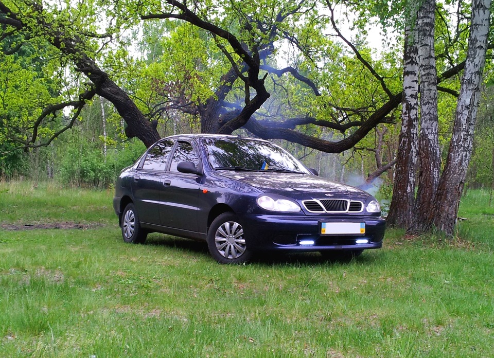 кілька фото на природі 3
