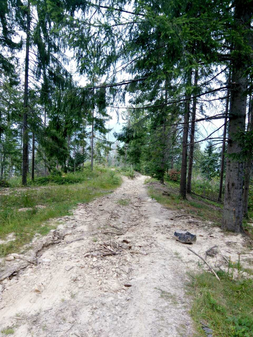 Гурова опора 5