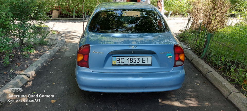 Продам корейця 3