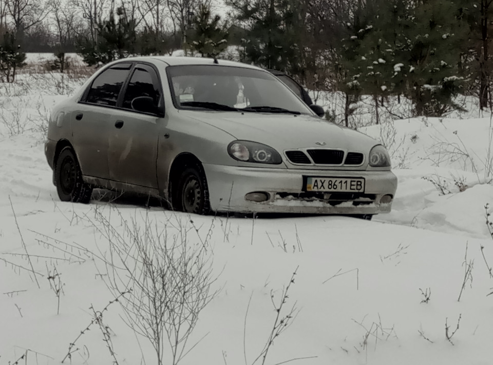 хочу віддати свого скакуна в хороші руки за осудні гроші 3