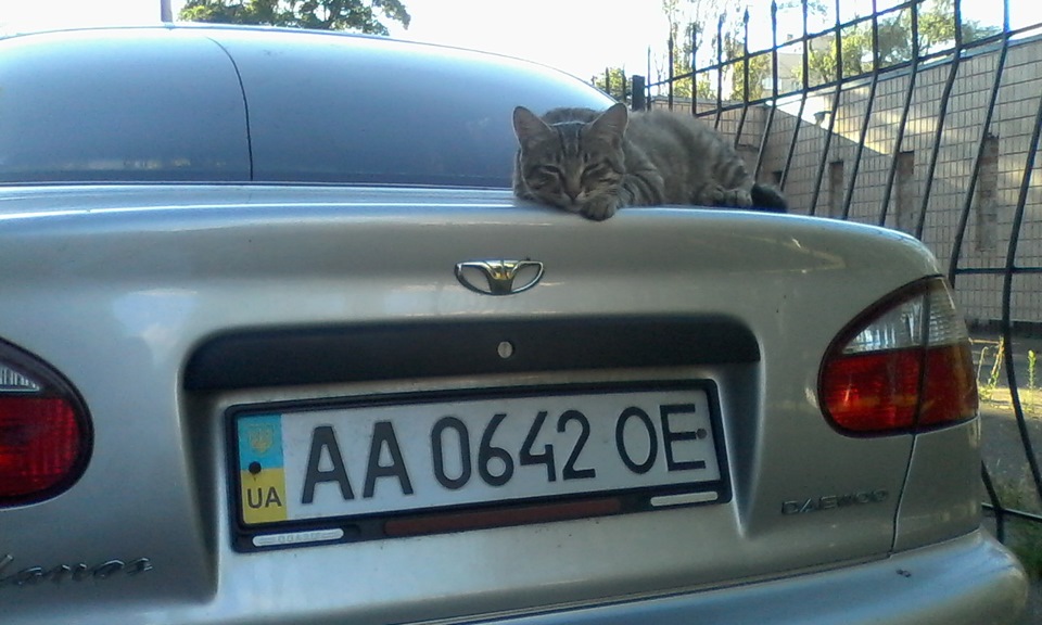 Друзі наші менші 3