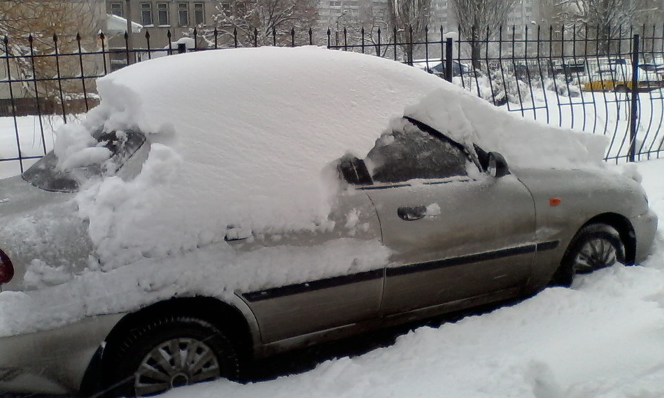 Проліски, їх мати... 2